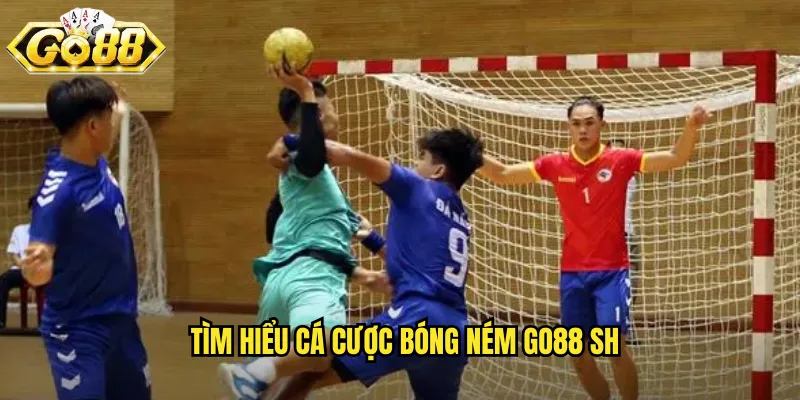 Tìm hiểu cá cược bóng ném go88 sh
