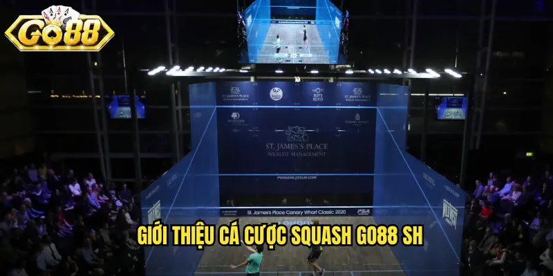 Giới thiệu cá cược squash go88 sh