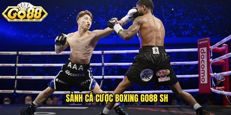 Sảnh cá cược boxing go88 sh