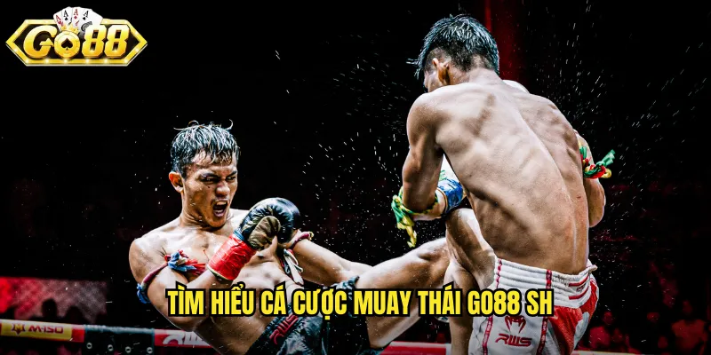 Muay Thái Go88 SH - Võ Thuật Tám Chi Thái Lan Uy Lực 2 Tìm hiểu cá cược muay thái go88 sh